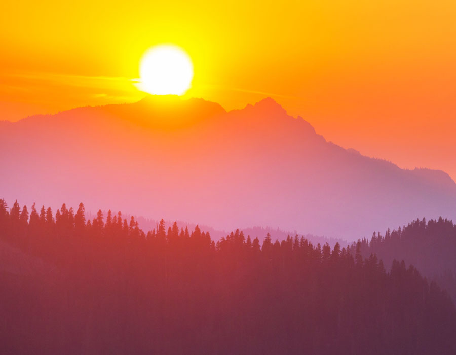 Manasseh Durkin Manasseh Durkin